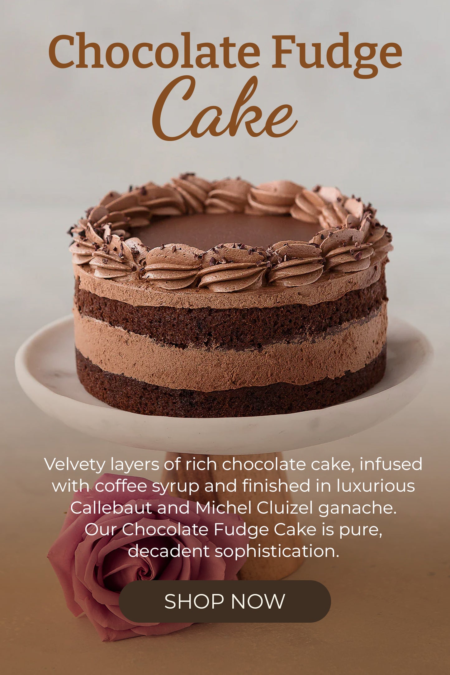  Chocolate Fudge Cake