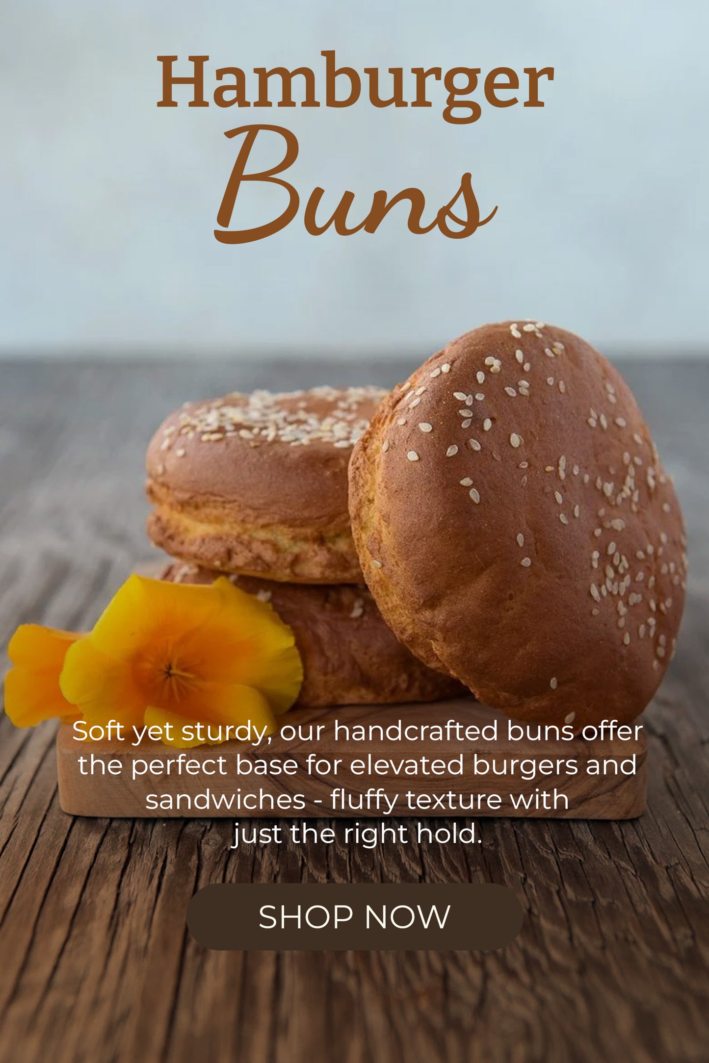 Hamburger Buns