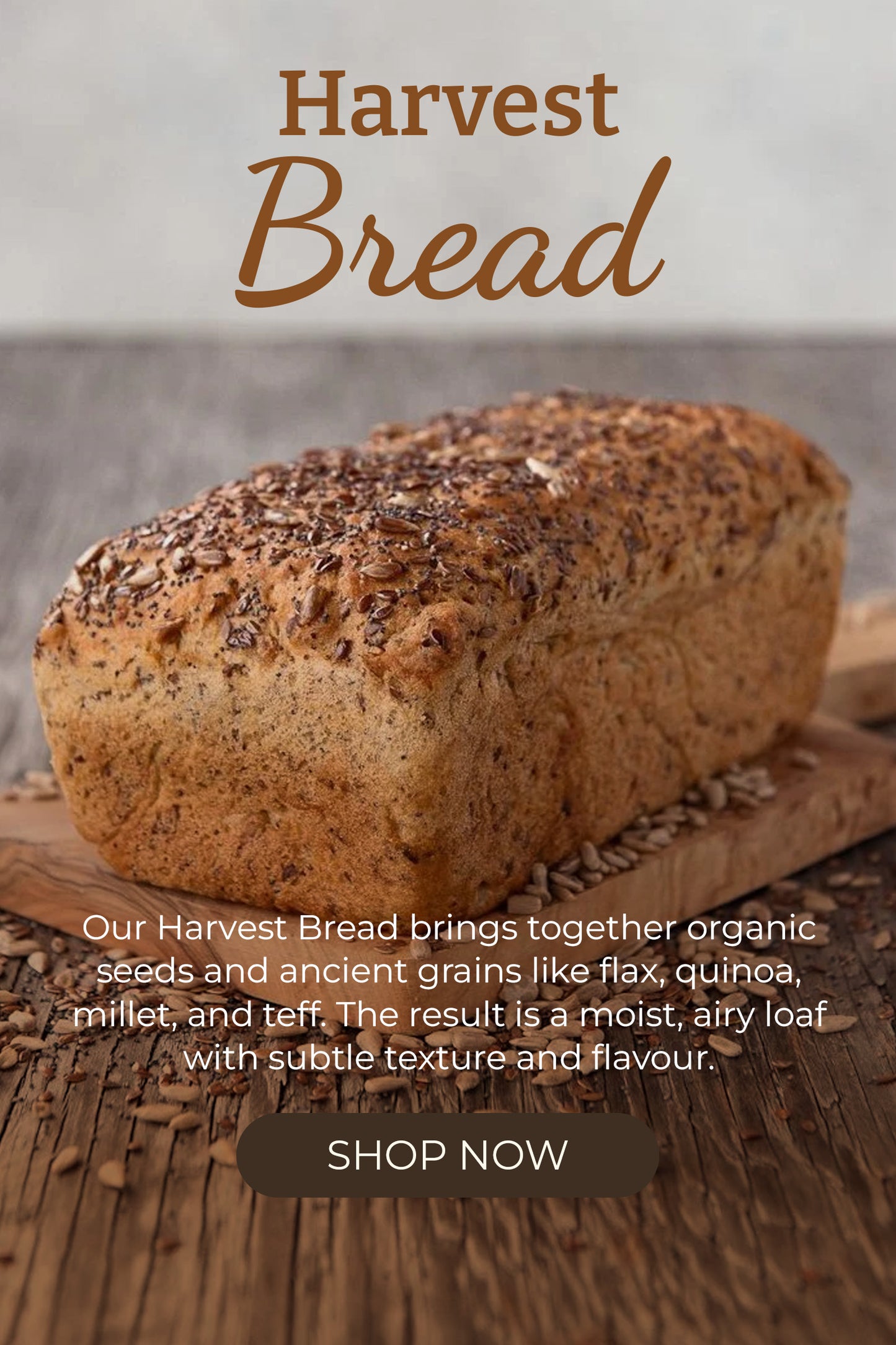 Origin Bakery