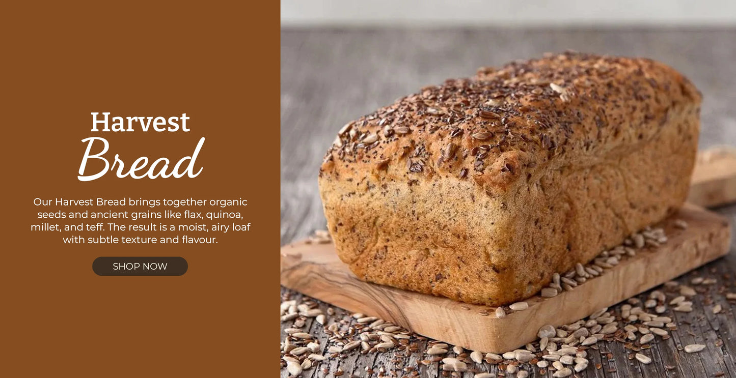 Origin Bakery
