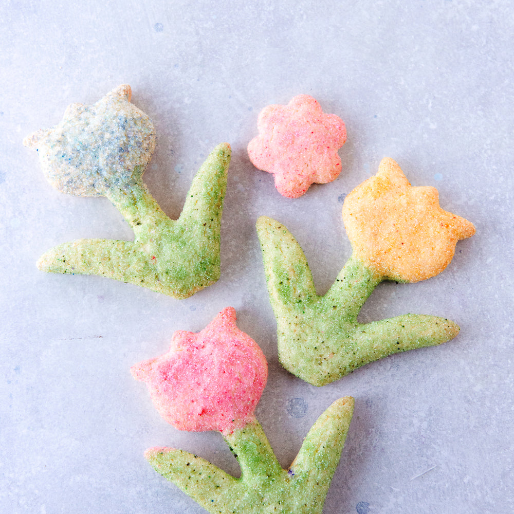 
                      
                        Sugar Cookie
                      
                    