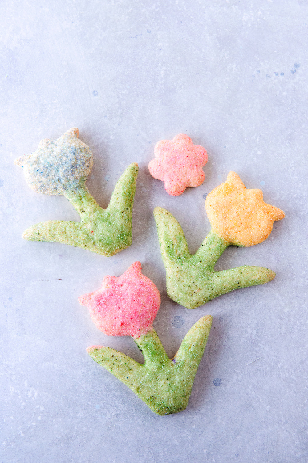 Sugar Cookie